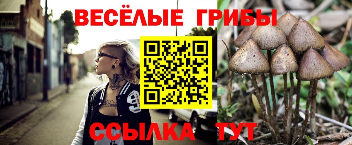Полысаево  Псилоцибиновые грибы Psilocybe  Вход с VPN 